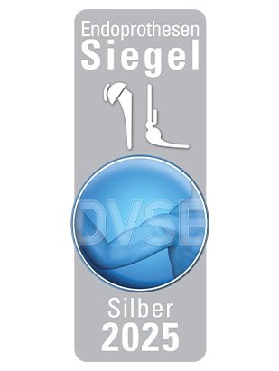 DVSE Prothesensiegel Silber 2025