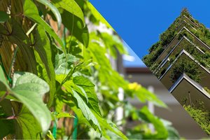 Gemeinsam für eine klimaresiliente Zukunft