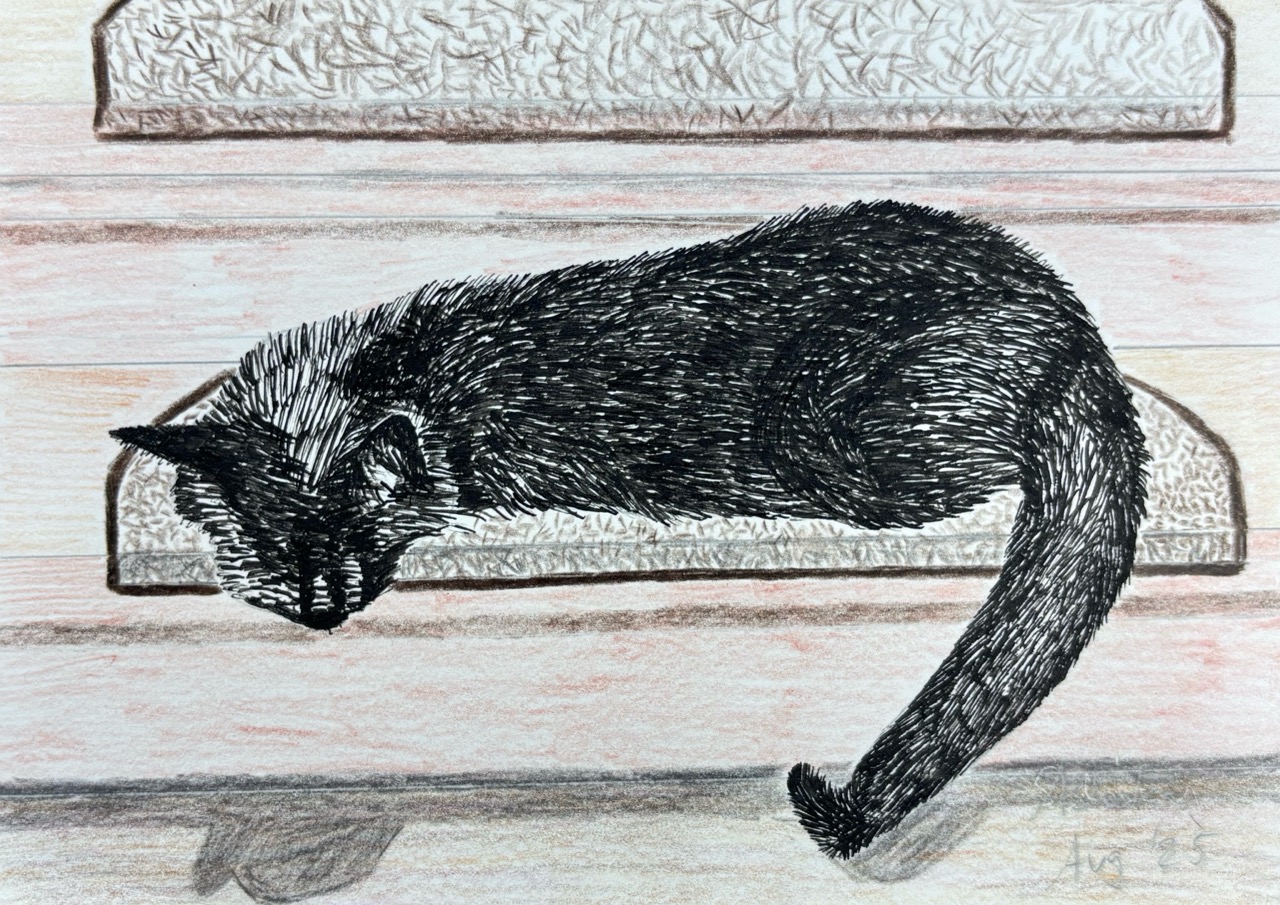 Ashoka Schönig-Bohdi, 2025-Tusche und Buntstifte auf Papier, 20,5 x 20,5 cm